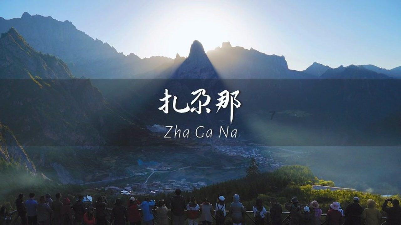 植物大战僵尸9